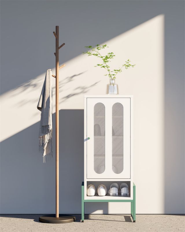 Capsule single door shoe cabinet